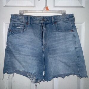 american eagle dad shorts